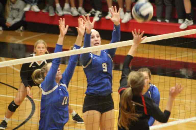 Macy Daufeldt