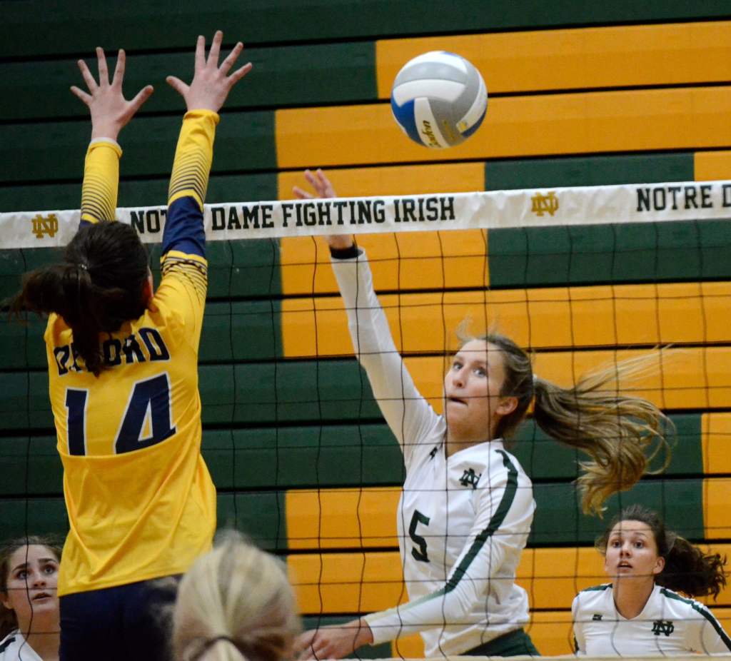 Beast of the East Setters to keep an eye on