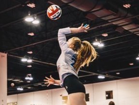 Six Exciting Setters from the Houston area