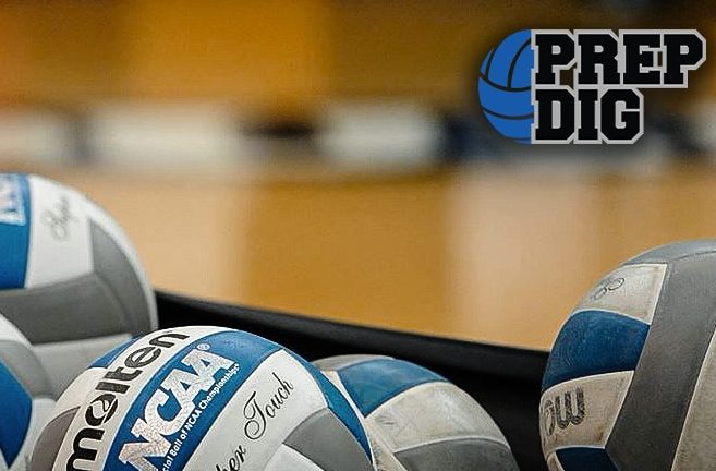 Junior Stars and Senior Studs