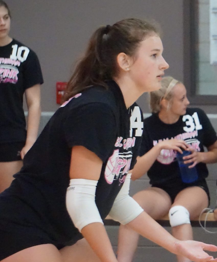 D3 and D4 Impact Players As WIAA Regionals Start