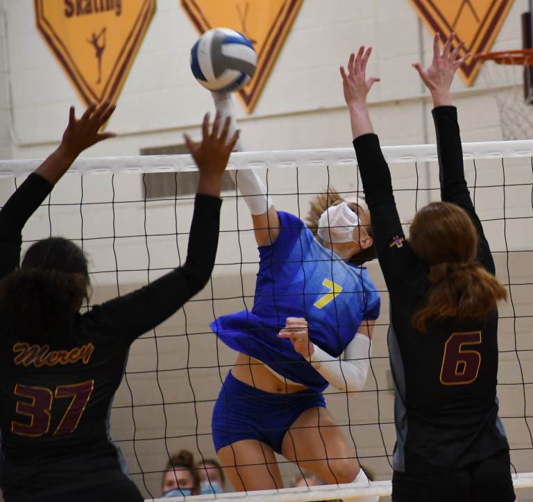 2020 High School D1 All Prep Dig Michigan Teams