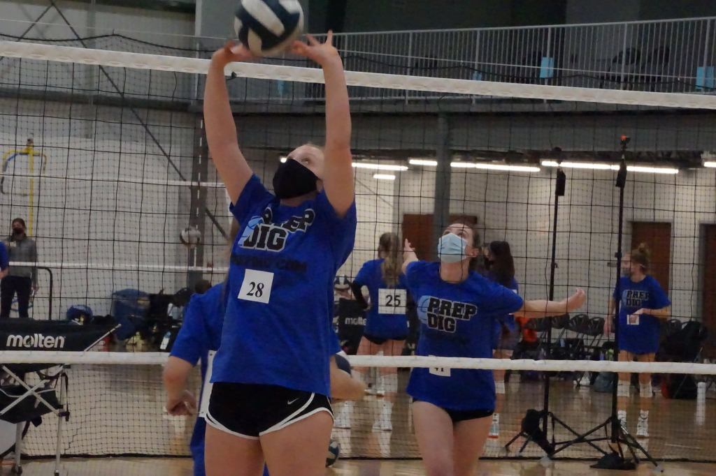 Setters Who Stood Out at 250 Expo