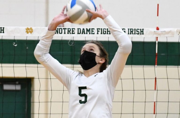 2021 High School D2 All Prep Dig Teams