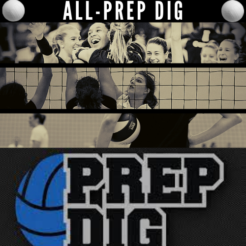 Girls Volleyball: All-Prep Dig