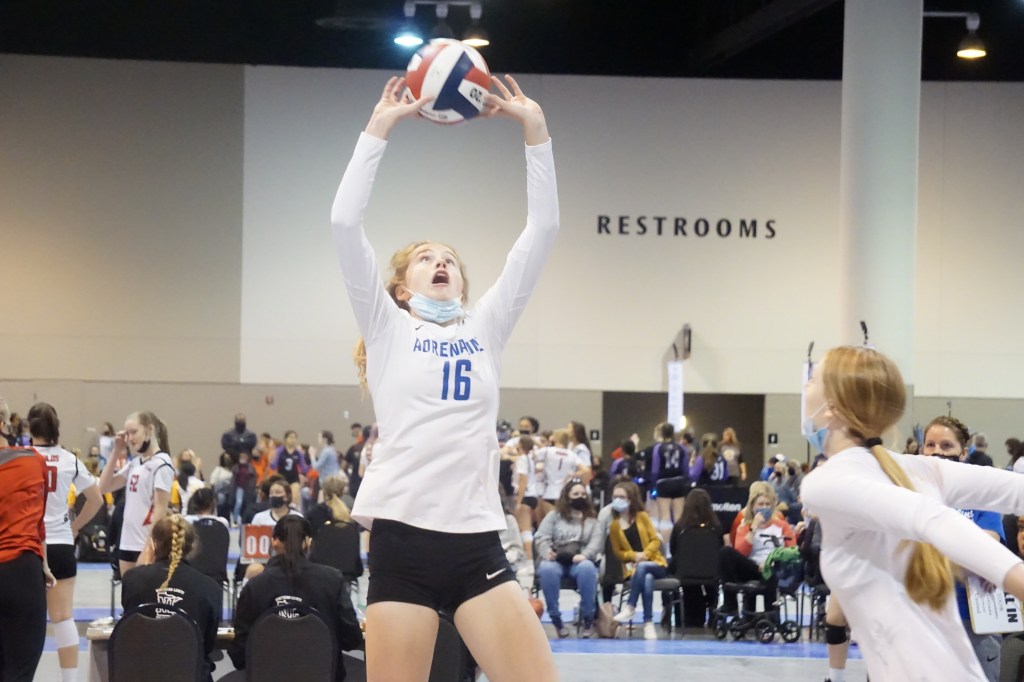 Three setters to follow &#8211; Snohomish