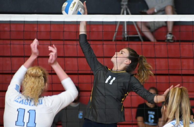 Unsung heroes for Division 1’s top 10 teams