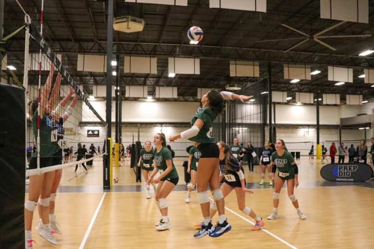 Live Eye 2022&#039;s  - High Level Prospects Still Available