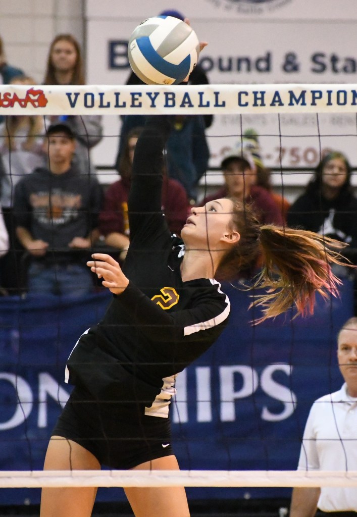 2021 High School Division 3 All Prep Dig Teams