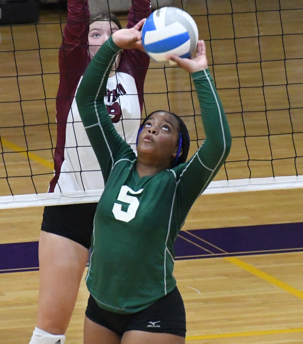 Setters that stepped up at President’s Day Challenge 17 Open