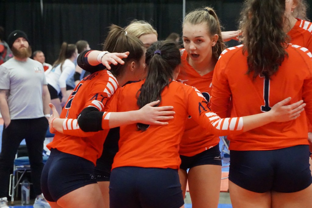 CZ 16 Open Showstoppers – 2024s (And Some 2025s)