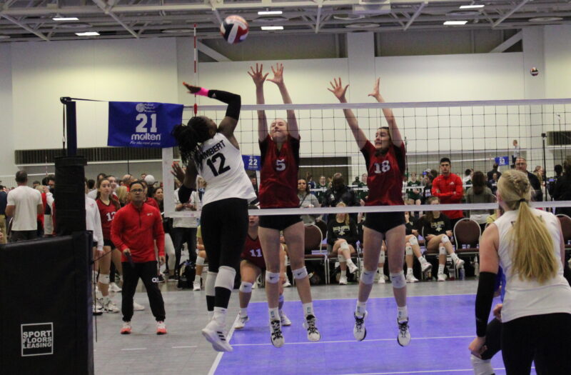 Trends and Highlights from 2024 National Rankings Prep Dig