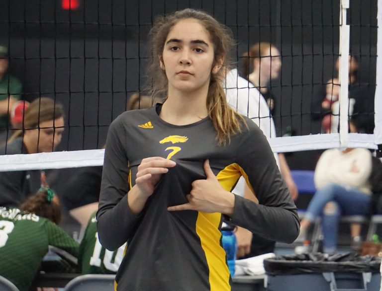2022 Michigan HS D1 All Prep Dig Teams