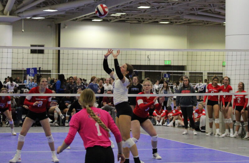 Iowa 2024 Feature Series: Skilled Setters