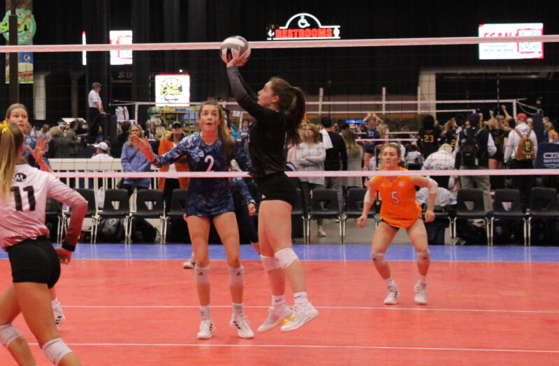 New Discoveries from the 2022 Club Season: Setters