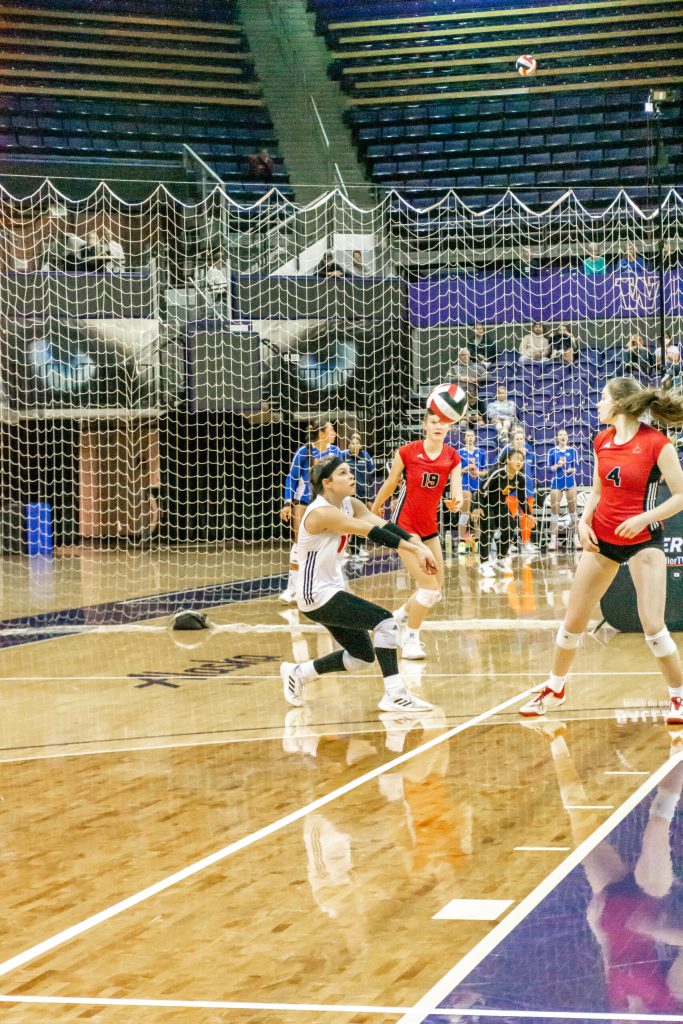 2024 Player Rankings: Top Liberos