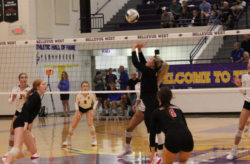 A Setters' Showcase at the Bellevue West Invitational