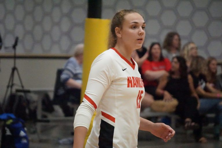 Midwest High School Volleyball Matchups We Would Love