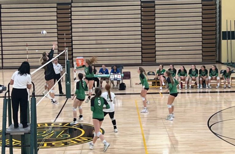 West Linn Tournament Standouts