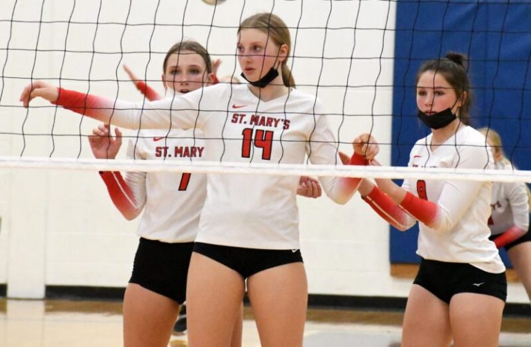 Seven Under-The-Radar Teams in Division 2
