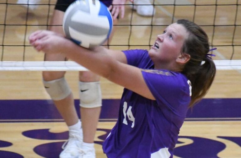 District final standout performers