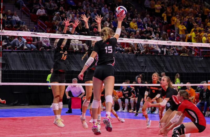 Dominant D1 Hitters Lighting Up the Stat Board | Prep Dig