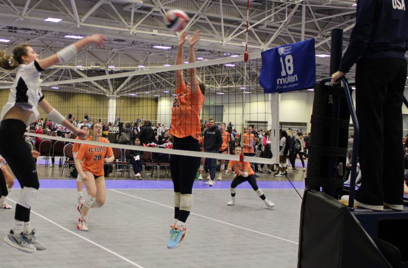 Must-See NLQ 2025s Playing a Year Up