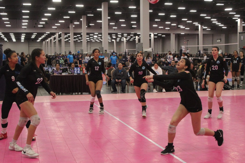 37th Annual Las Vegas Classic: Setters c/o 23-24 Names to Know