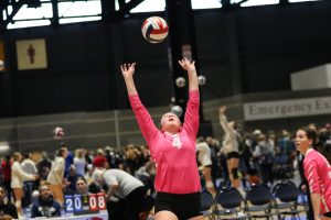 Setters Who Impressed at the Iowa Stock Up Showcase