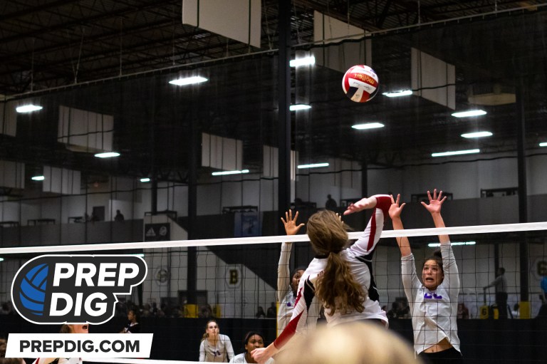2024 Stock Risers Continue