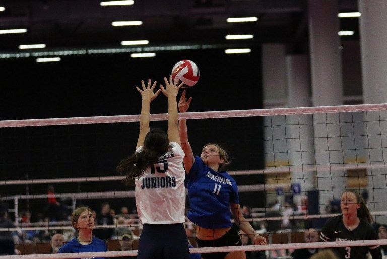 Taylor Rexroth