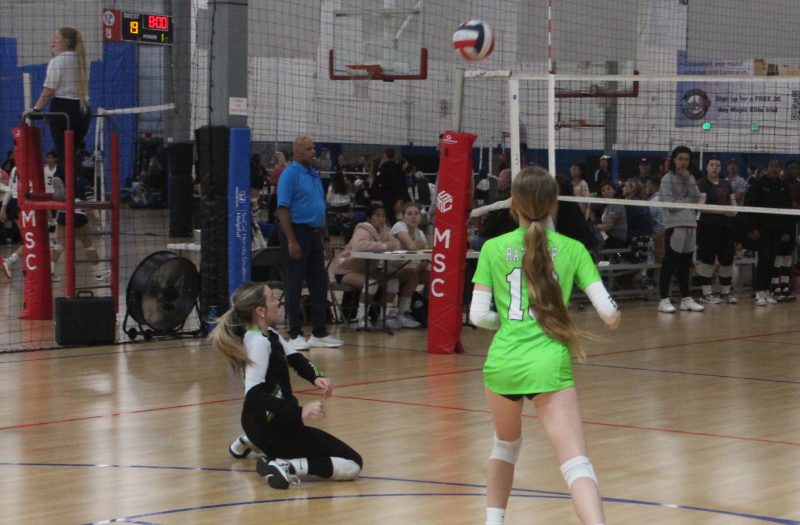 Addison Blumer