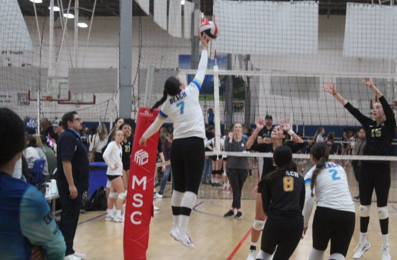 <span class="pn-tooltip pn-player-link">
        <span class="name-pointer">A Rare Glimpse At Players From 14s</span>
        <span class="info-box not-prose" style="background: linear-gradient(to bottom, rgba(23,90,170, 0.95) 0%,rgba(23,90,170, 1) 100%)">
            <a href="https://prepdig.com/2023/05/a-rare-glimpse-at-players-from-14s/" class="link-wrap">
                                    <span class="player-img"><img src="https://prepdig.com/wp-content/uploads/sites/5/2023/05/Article-60-TStreet-IE-14s-crop-2335x1534-1683577641.jpg?w=150&h=150&crop=1" alt="A Rare Glimpse At Players From 14s"></span>
                
                <span class="player-details">
                    <span class="first-name">A</span>
                    <span class="last-name">Rare Glimpse At Players From 14s</span>
                    <span class="measurables">
                                            </span>
                                    </span>
                <span class="player-rank">
                                                        </span>
                                    <span class="state-abbr"></span>
                            </a>

                    </span>
    </span>
