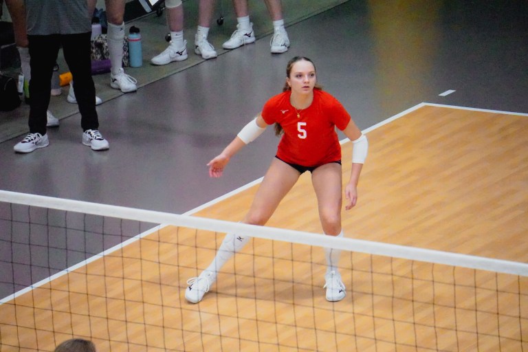 Kate Holthaus