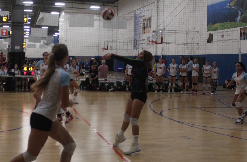 <span class="pn-tooltip pn-player-link">
        <span class="name-pointer">A Rare Glimpse At Players From 14s</span>
        <span class="info-box not-prose" style="background: linear-gradient(to bottom, rgba(23,90,170, 0.95) 0%,rgba(23,90,170, 1) 100%)">
            <a href="https://prepdig.com/2023/05/a-rare-glimpse-at-players-from-14s/" class="link-wrap">
                                    <span class="player-img"><img src="https://prepdig.com/wp-content/uploads/sites/5/2023/05/Article-60-TStreet-IE-14s-crop-2335x1534-1683577641.jpg?w=150&h=150&crop=1" alt="A Rare Glimpse At Players From 14s"></span>
                
                <span class="player-details">
                    <span class="first-name">A</span>
                    <span class="last-name">Rare Glimpse At Players From 14s</span>
                    <span class="measurables">
                                            </span>
                                    </span>
                <span class="player-rank">
                                                        </span>
                                    <span class="state-abbr"></span>
                            </a>

                    </span>
    </span>
