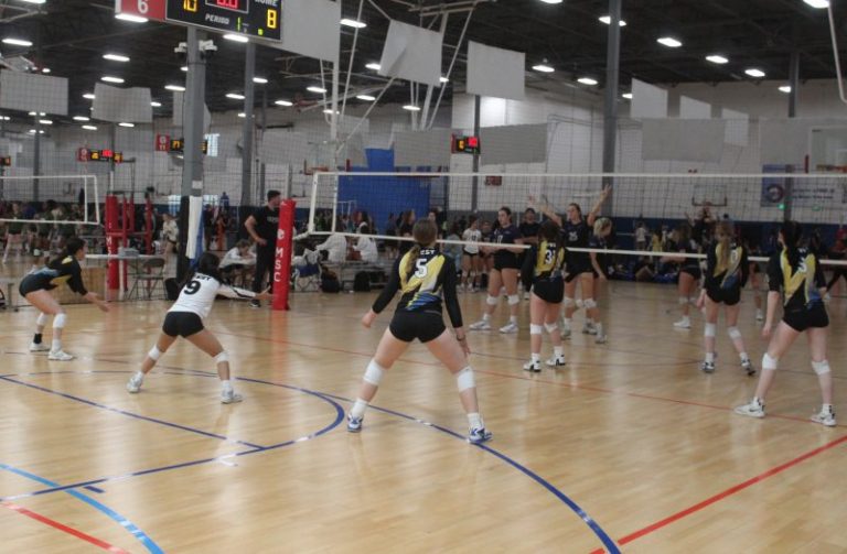 Go Hard Or Go Home! Setters, New Names.