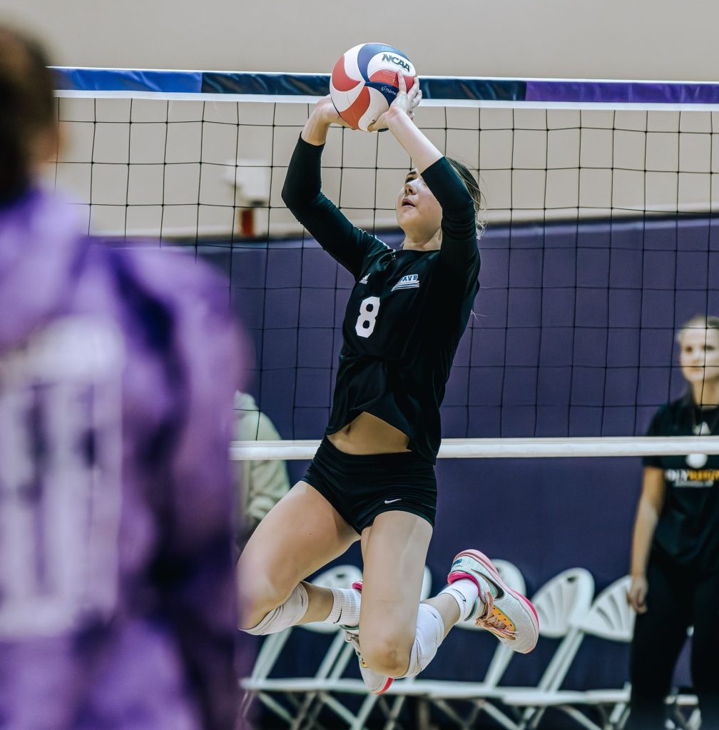 Super Setters: Emerald City Classic Day 2