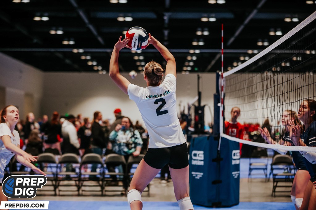 Stand-Out Setters from the Illinois Top 250 Expo