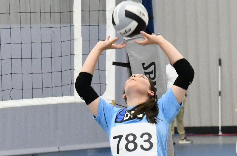 2027 Watch List Profiles, Alderink-Bellomo