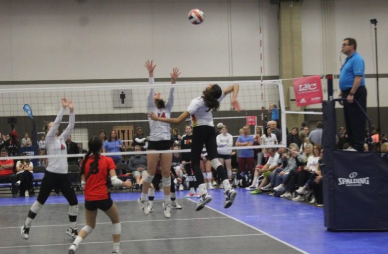 Before High School Season Starts Series, Recap of RS Hitters.