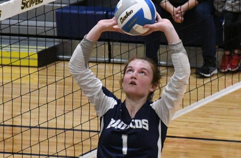 2023 D2 Preseason All-Prep Dig Michigan Team