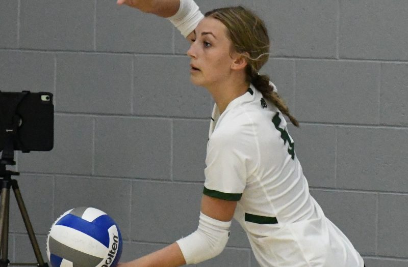 Freshman Watch Dig Leaders Prep Dig