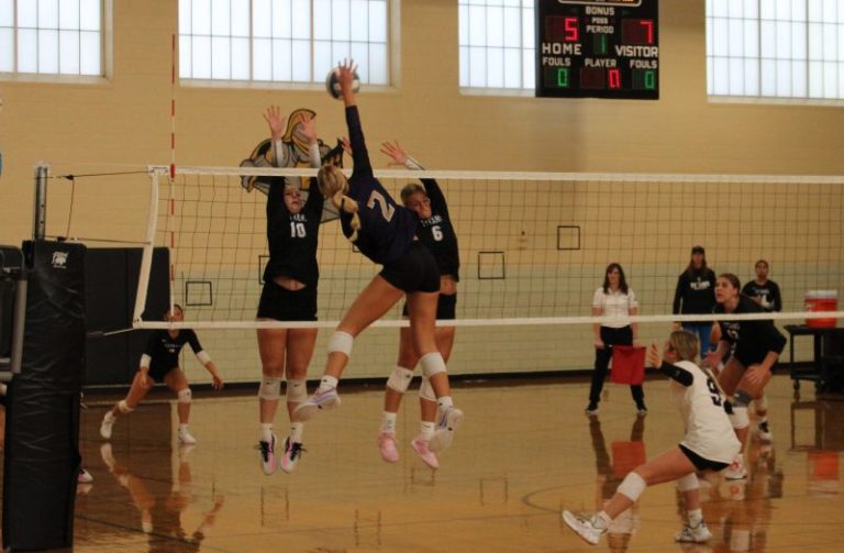 Impact Attackers from the 2023 LPS Invite Gold Bracket