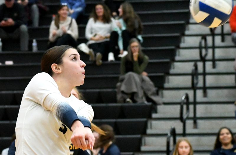 Division 1 Regional Final Standouts