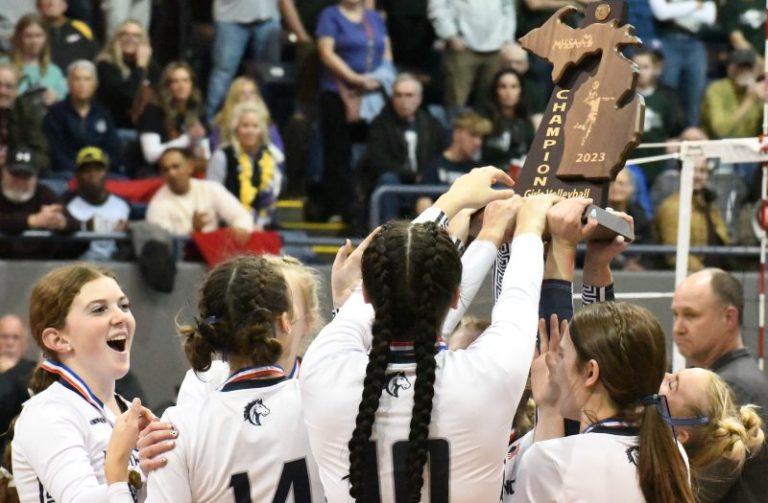 2023 Michigan HS D2 All Prep-Dig Teams