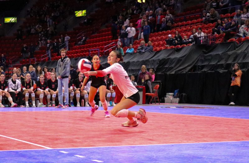 Breakout Stars from the WIAA State Tournament: Part 2