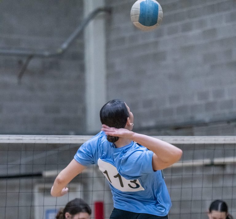 Top 250 Expo: 2025/2026 Middles That Impressed