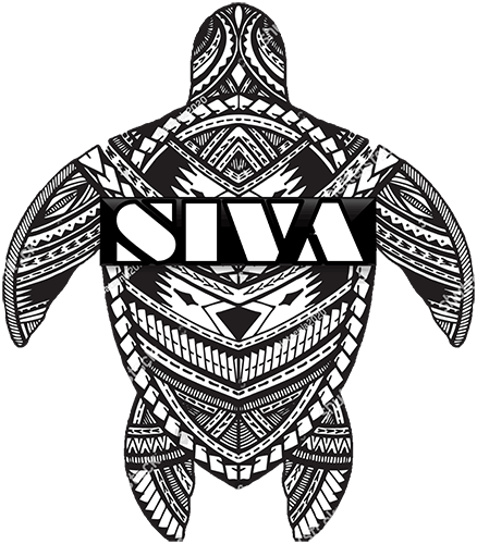 Skagit Island Volleyball Academy