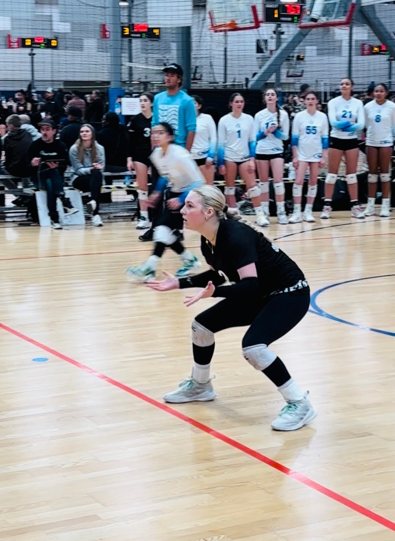 Weekend Watchlist: Five Standout Liberos