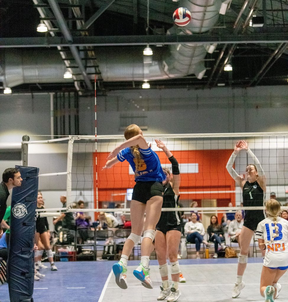 2026: The Stock Risers